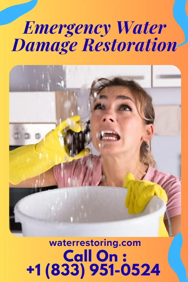 Emergency Water Damage Restoration in Alleman, IA